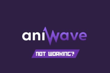 AniWave Not Working